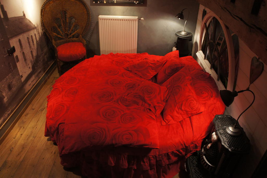 Bed and Breakfast Aux Logis De La Solre Ferrière-la-Petite Camera foto